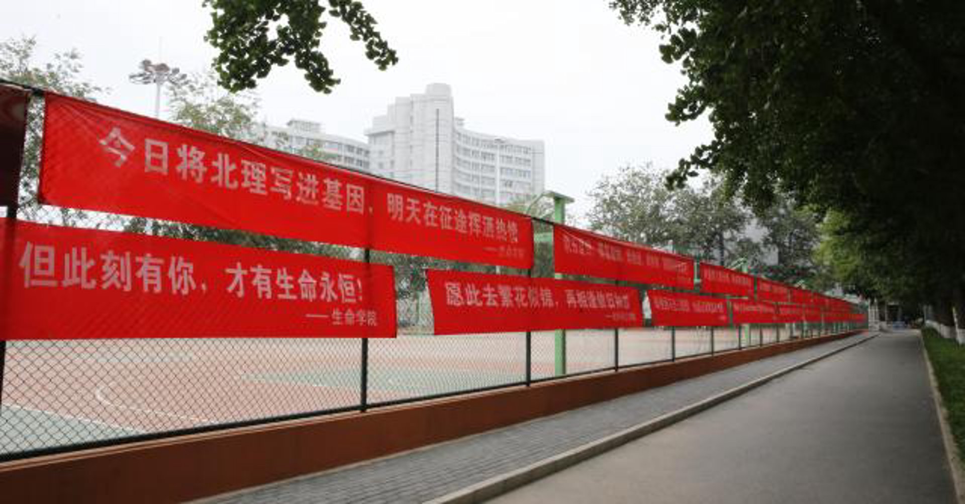 圣玛丽留学